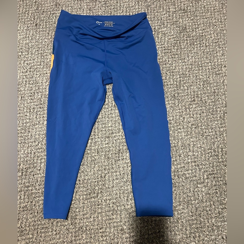 ZYIA Blue Leggings